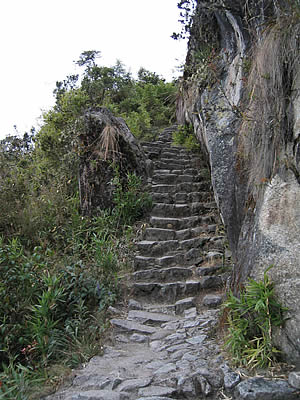 Trane d'Inca  Machu Picchu